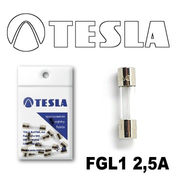 Стеклянный предохранитель FGL1 2,5A Tesla арт. FGL1.250.010