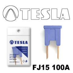 Предохранитель картриджного типа FJ15 100A Tesla арт. FJ15.100.005
