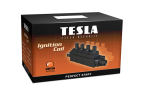 Катушка зажигания Tesla арт. CL565