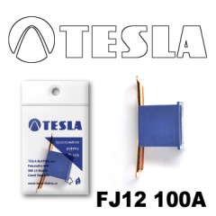 Предохранитель картриджного типа FJ12 100A Tesla арт. FJ12.100.005